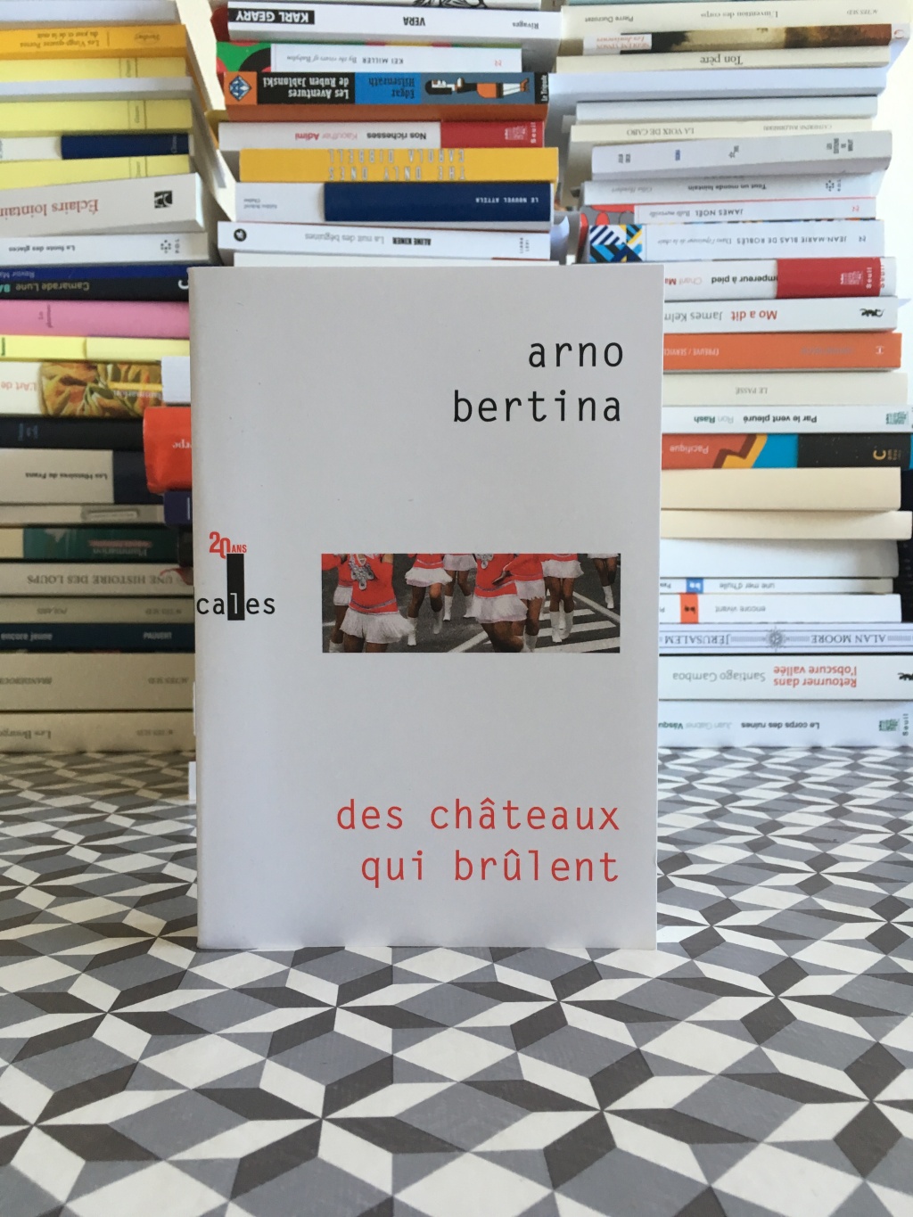 Arno BERTINA — Des châteaux qui brûlent (Verticales-Gallimard)