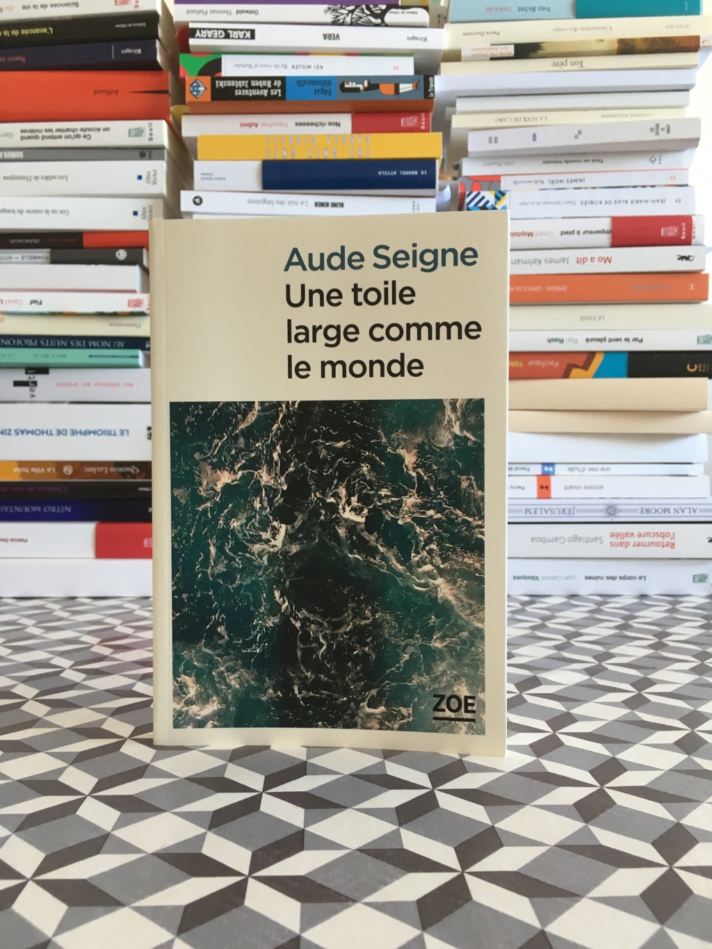 Aude SEIGNE — Une toile large comme le monde (Zoé)