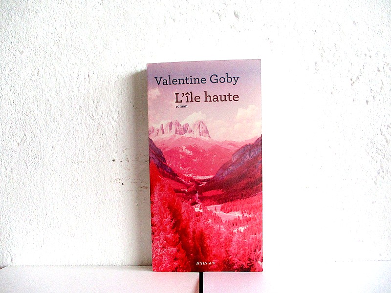Valentine GOBY, L’île haute (Actes sud)